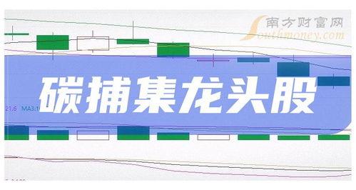 碳捕(bu)集(ji)技術(shu)崛(jue)起與輸電業務(wu)的(de)緊(jin)密協同 三大龍頭股的(de)投資(zi)視(shi)角(jiao)